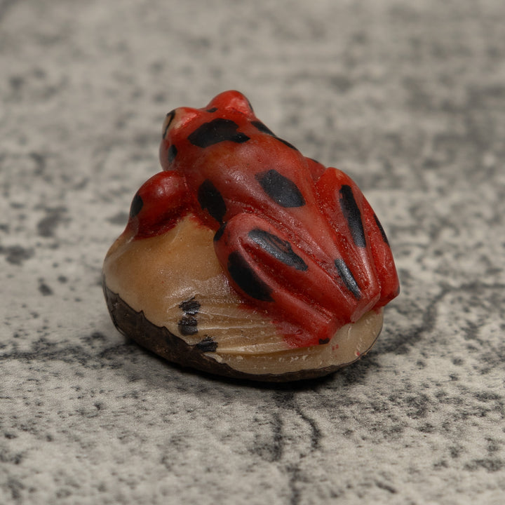 Vintage Red And Black Frog Tagua Carving