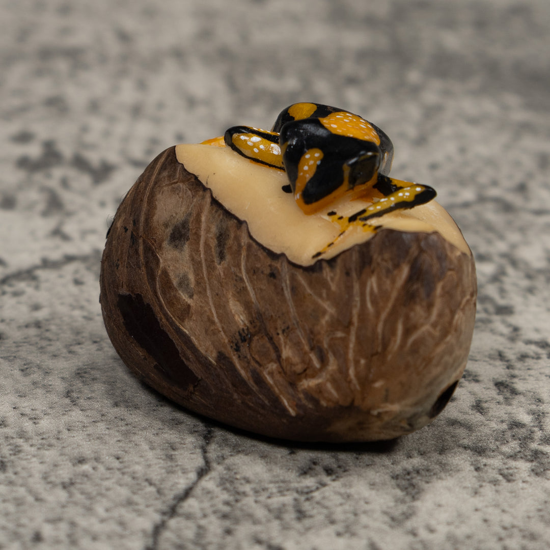 Gold White And Black Frog Tagua Carving
