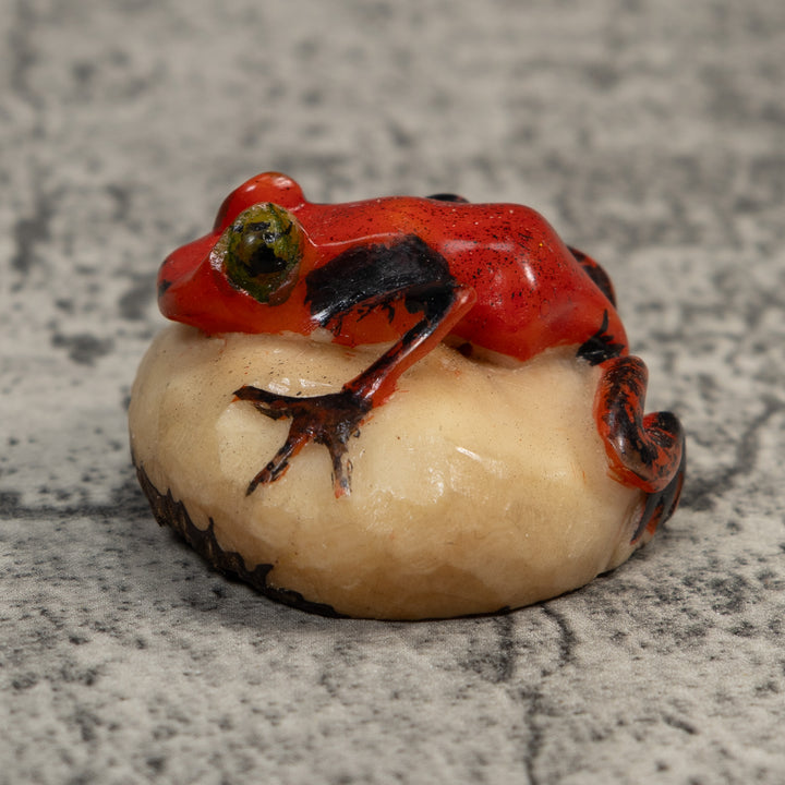 Vintage Red And Black Poison Dart Frog Tagua Carving