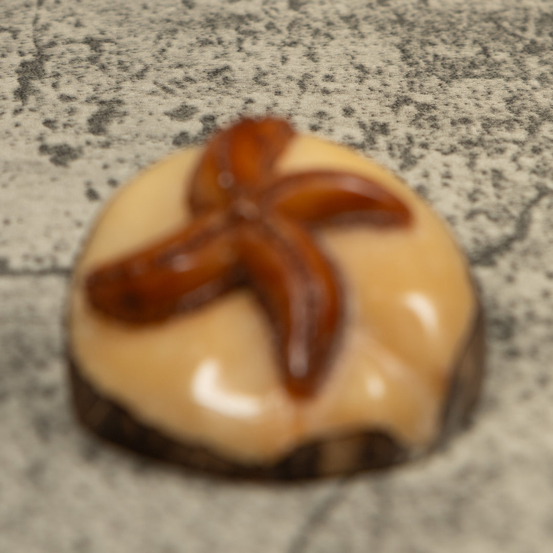 Starfish Tagua Carving