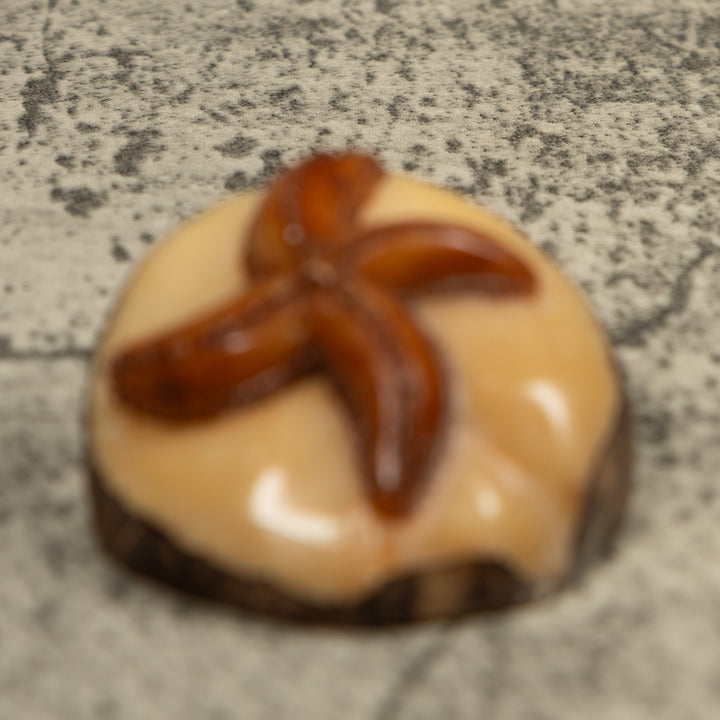 Starfish Tagua Carving