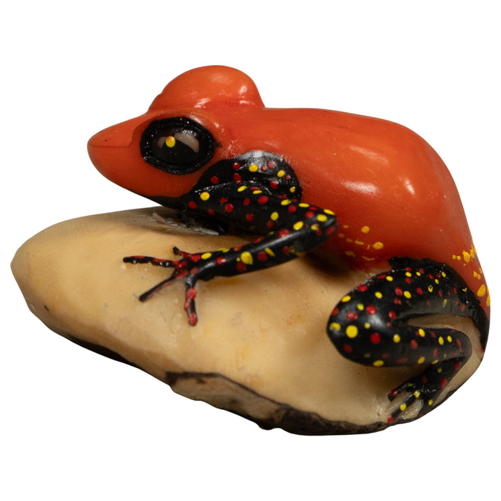 Vintage Red And Black Poison Dart Frog Tagua Carving