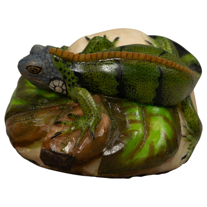 Iguana Lizard Reptile Tagua Carving