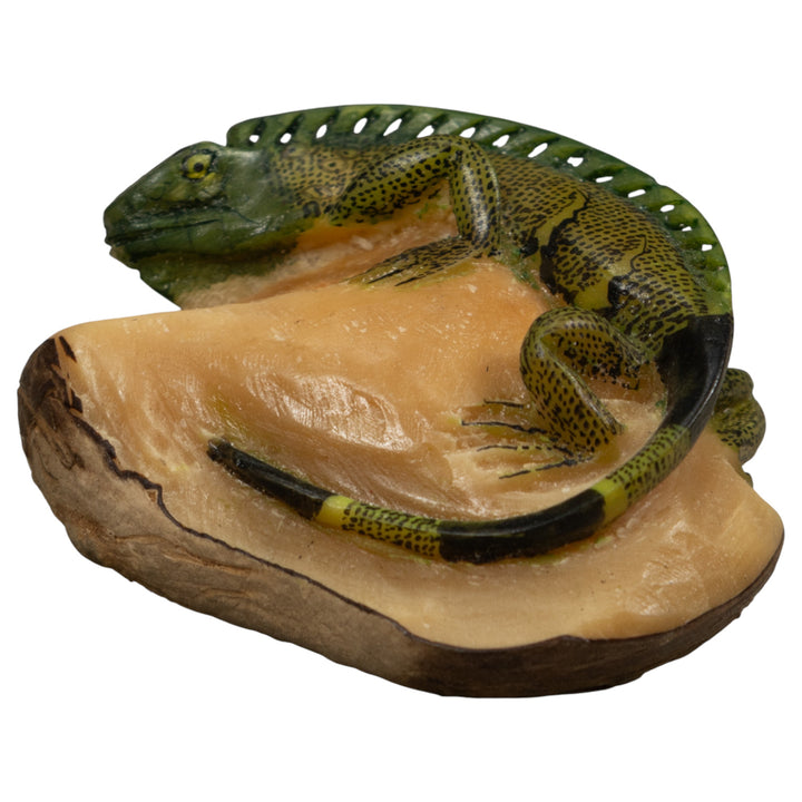 Iguana Lizard Reptile Tagua Carving