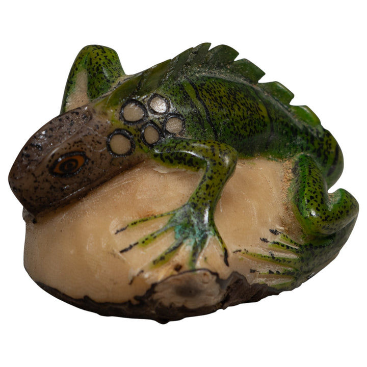 Iguana Lizard Reptile Tagua Carving