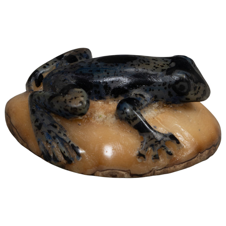 Vintage Dark Blue Frog Tagua Carving