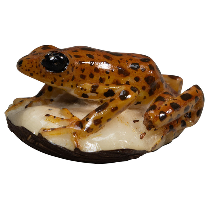 Brown And Black Jungle Frog Tagua Carving