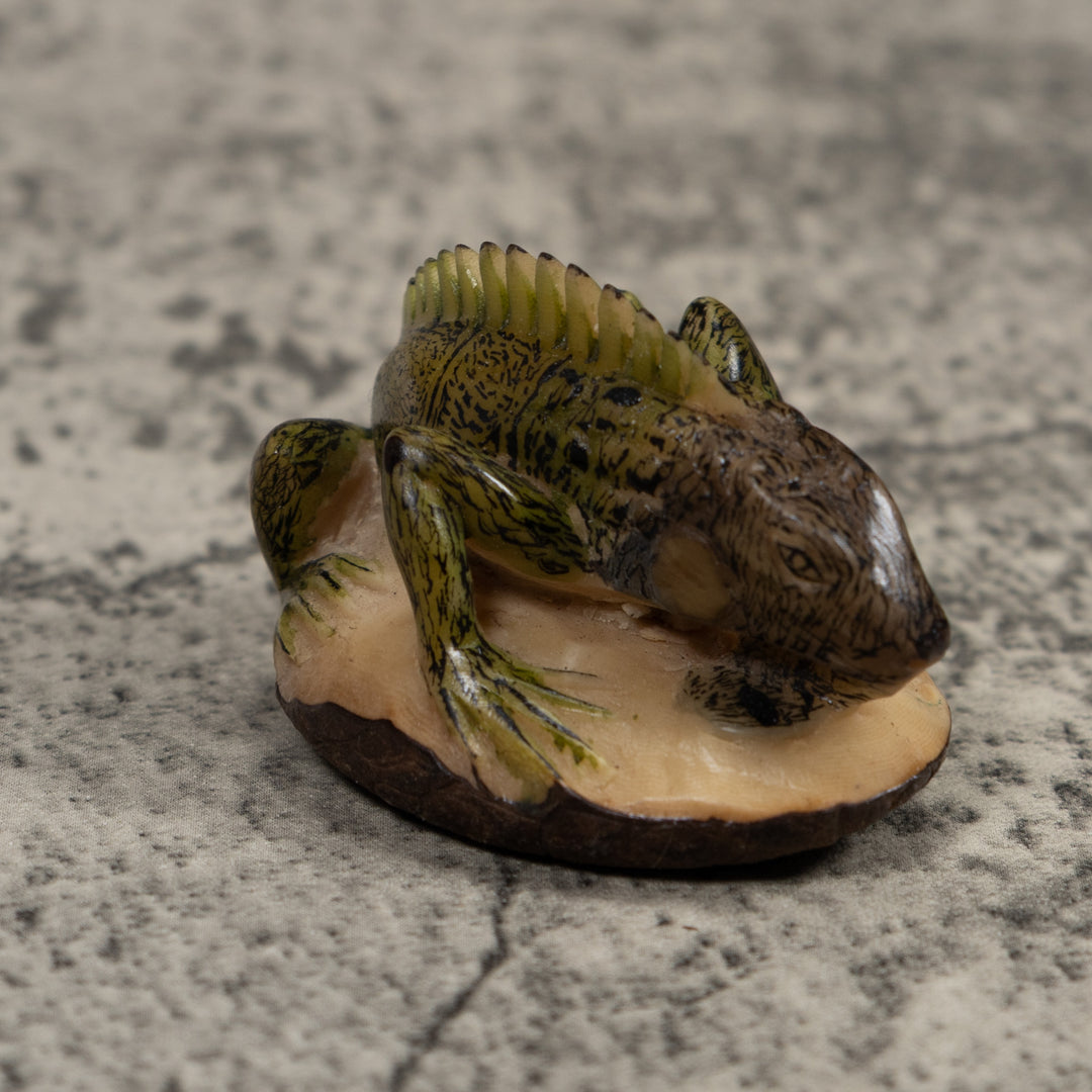 Iguana Lizard Reptile Tagua Carving