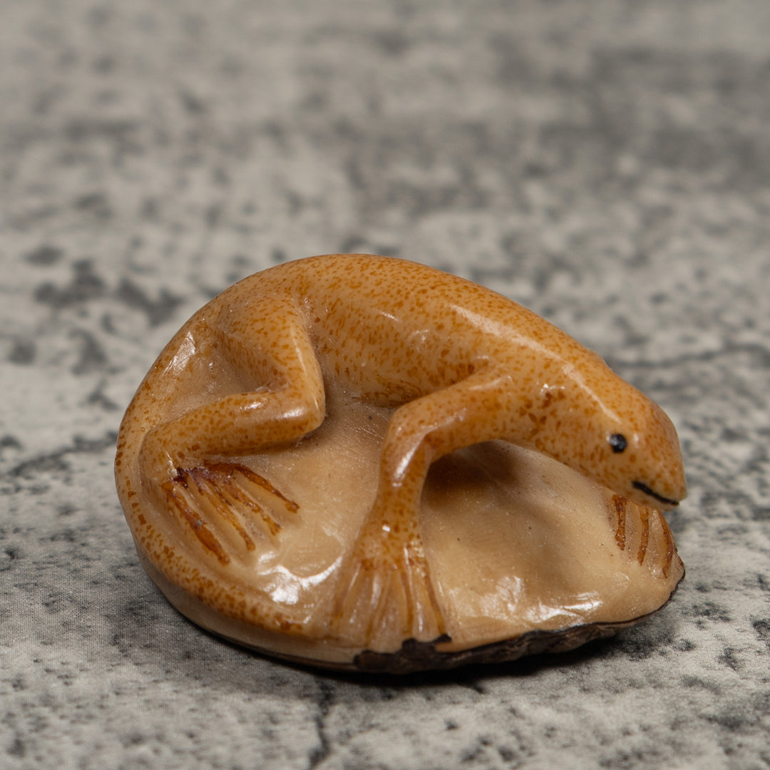 Vintage Gold And Brown Frog Tagua Carving