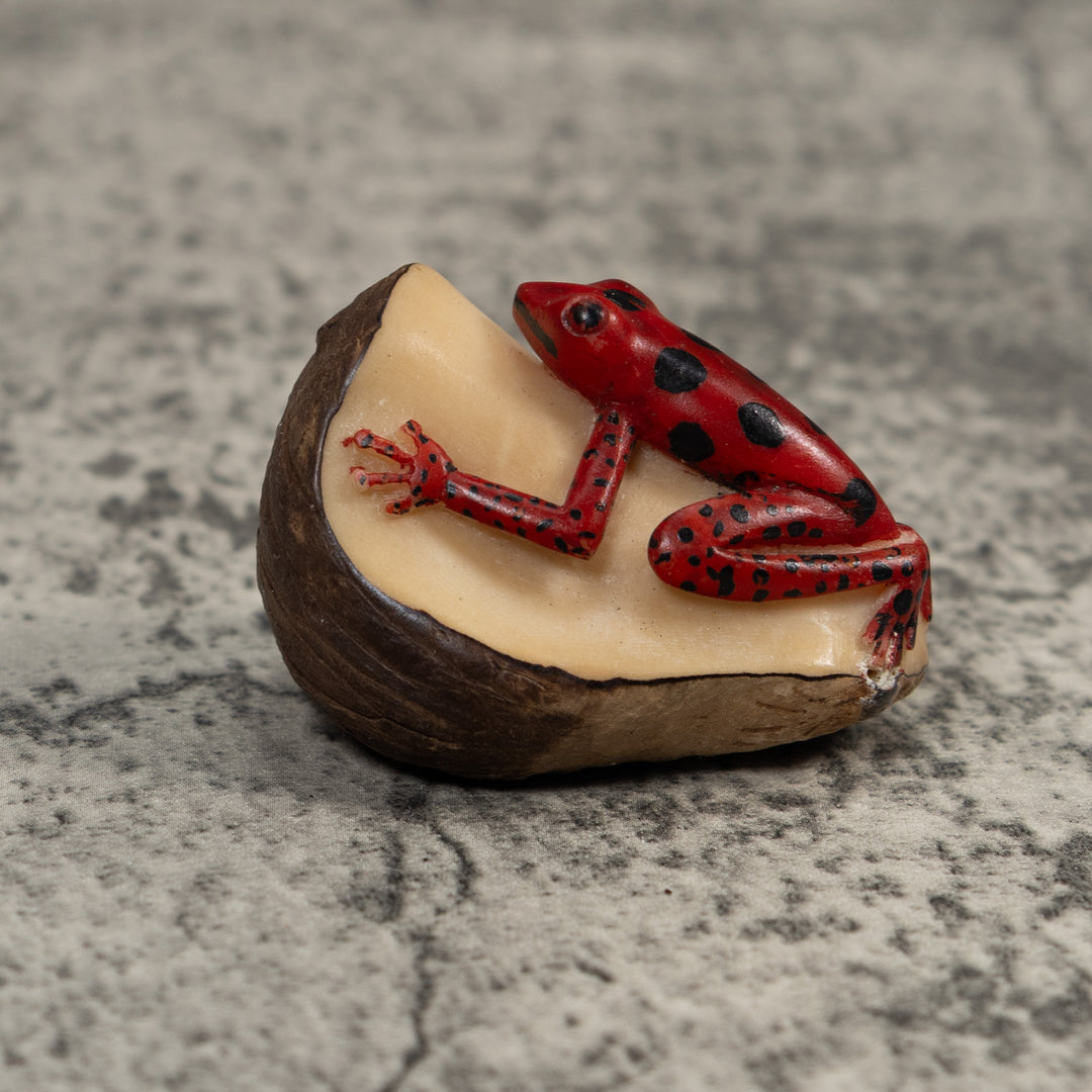 Red And Black Poison Dart Frog Tagua Carving