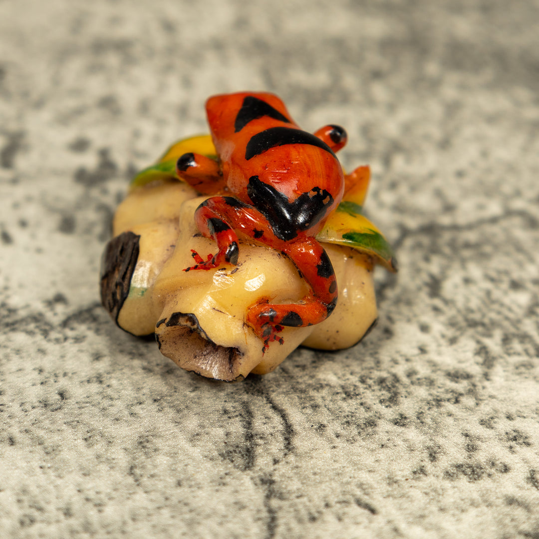 Orange And Black Poison Dart Frog Tagua Carving