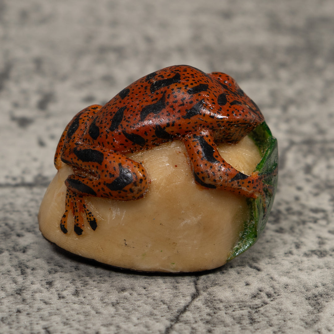 Vintage Red Black And Green Frog Tagua Carving