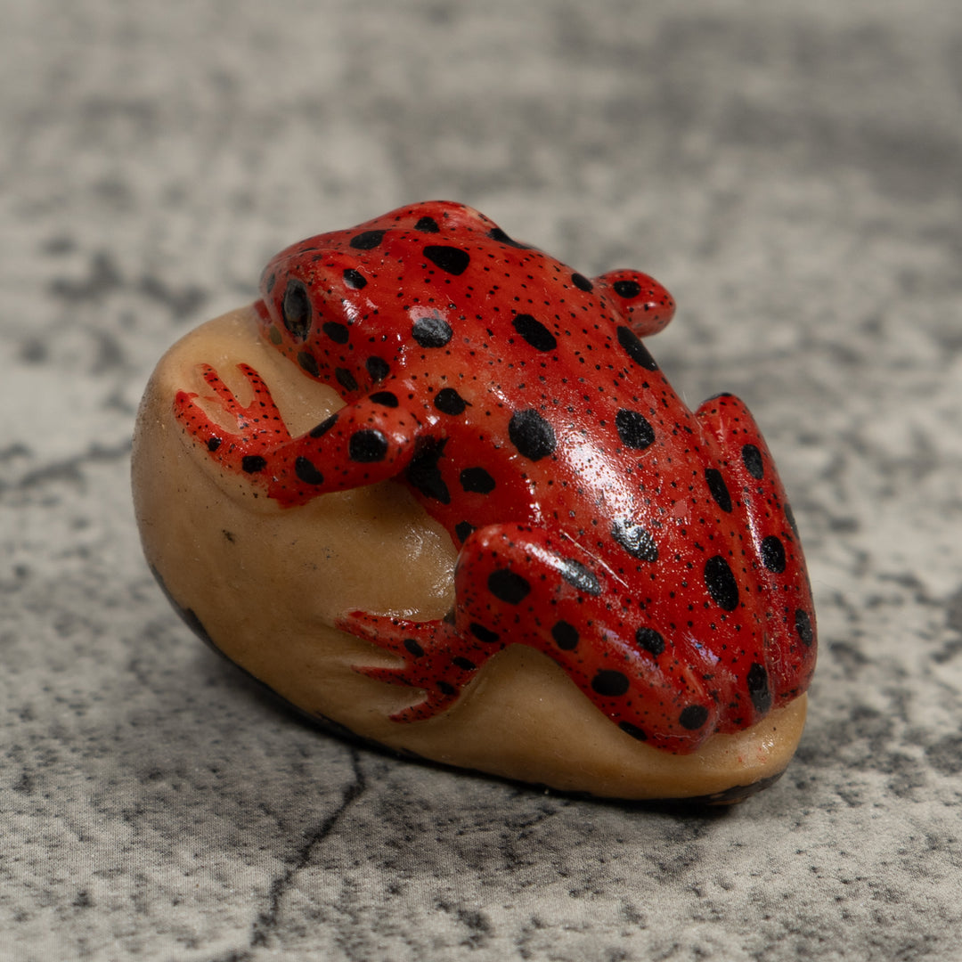 Vintage Poison Dart Frog Tagua Carving