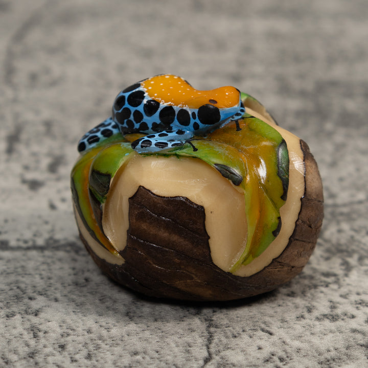 Gold Blue And Black Jungle Frog Tagua Carving