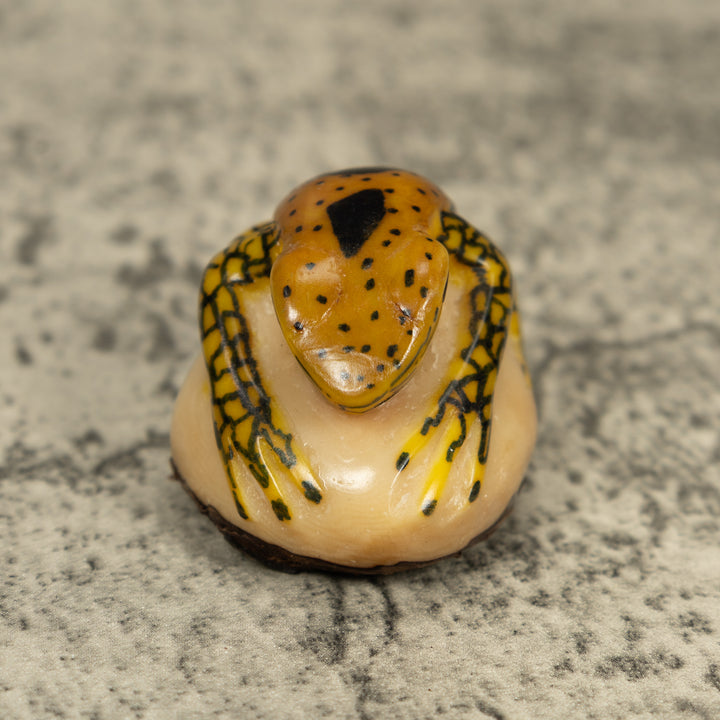 Vintage Gold And Black Frog Tagua Carving