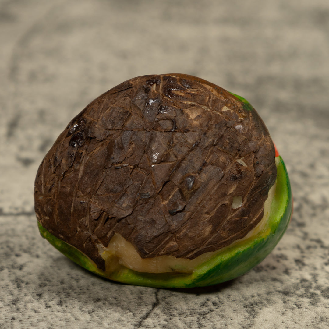 Hummingbird Tagua Carving