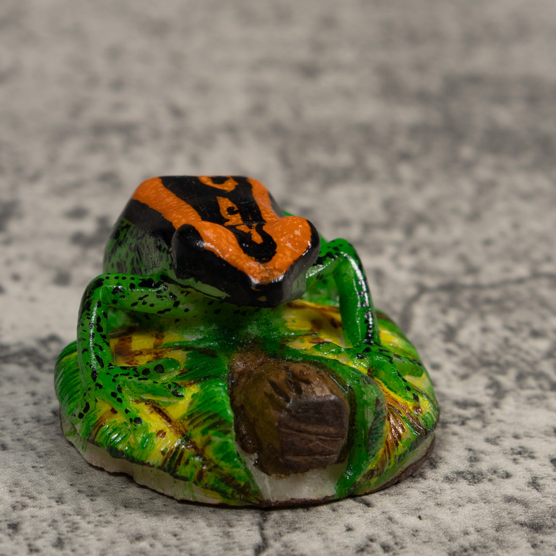Orange Green And Black Poison Dart Frog Tagua Carving