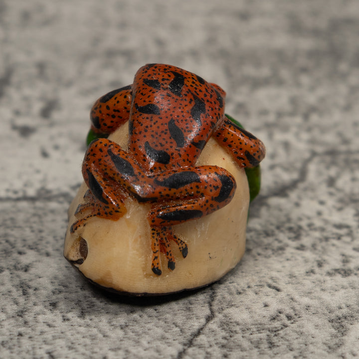 Vintage Red Black And Green Frog Tagua Carving