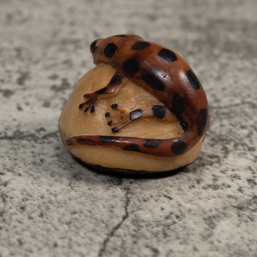 Brown And Black Gecko Lizard Tagua Carving