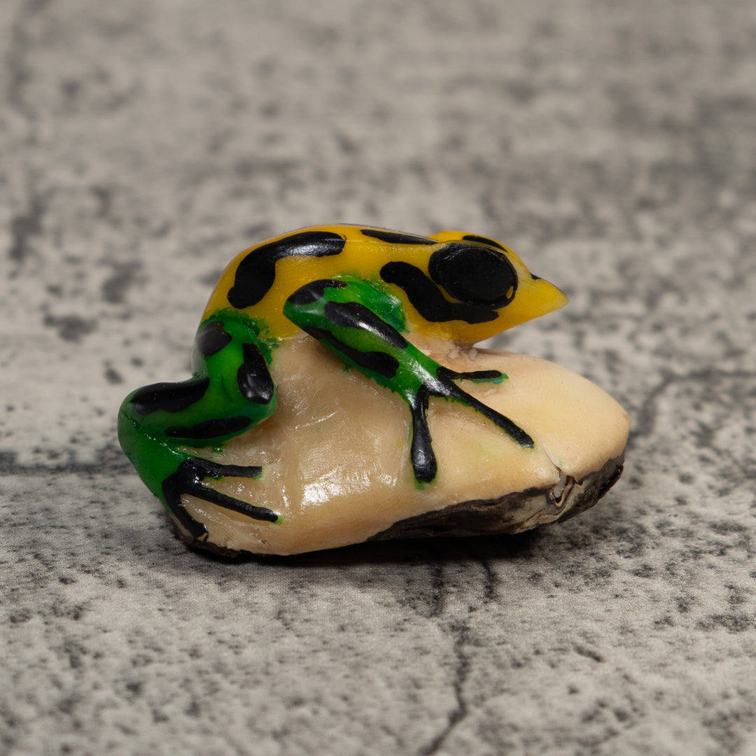 Vintage Black Green And Yellow Frog Tagua Carving