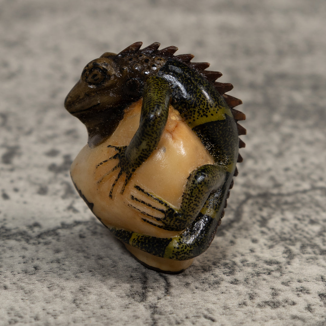 Brown And Black Iguana Lizard Tagua Carving