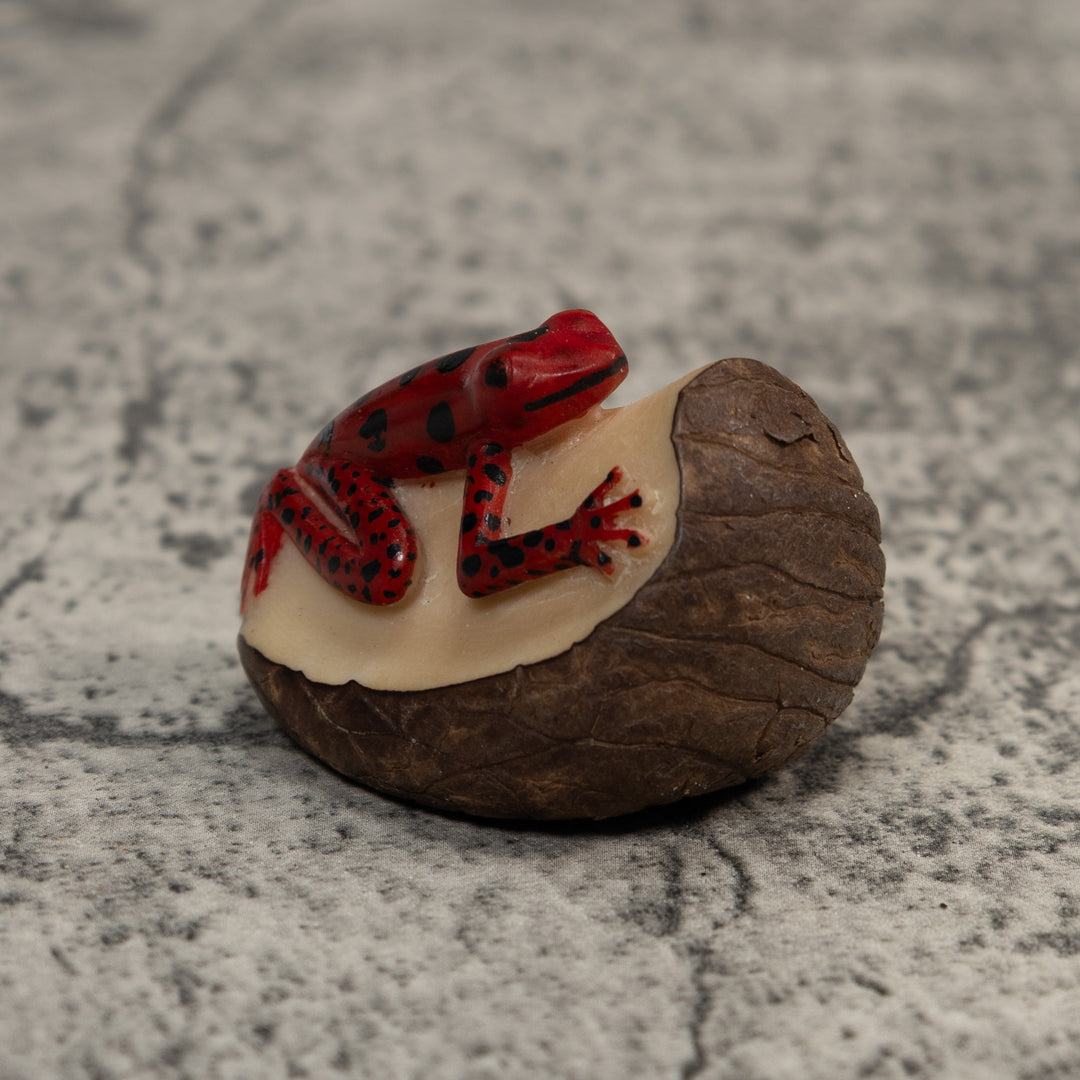 Red And Black Poison Dart Frog Tagua Carving