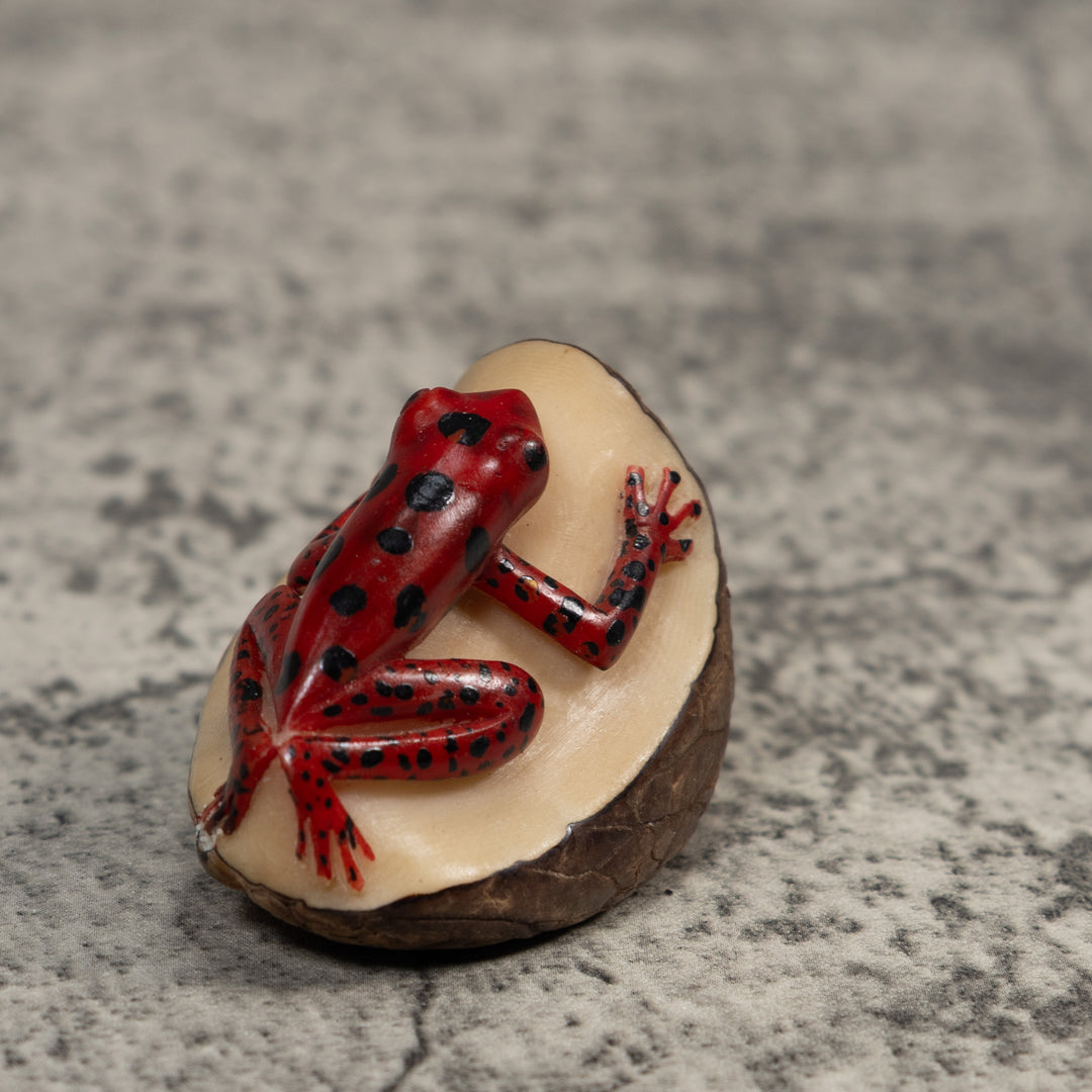 Red And Black Poison Dart Frog Tagua Carving