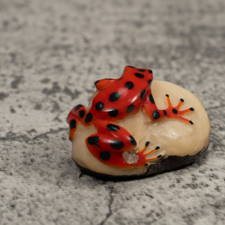 Vintage Frog Tagua Carving