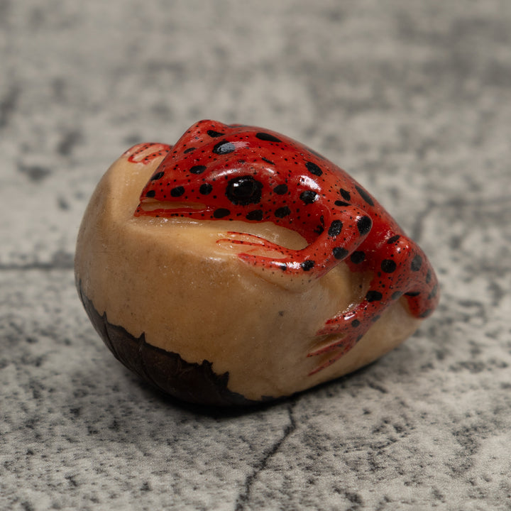 Vintage Poison Dart Frog Tagua Carving
