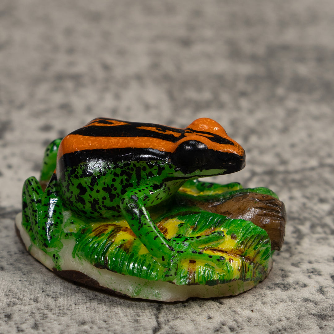 Orange Green And Black Poison Dart Frog Tagua Carving