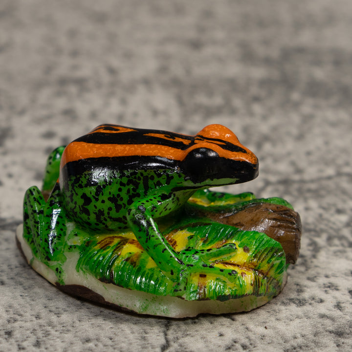 Orange Green And Black Poison Dart Frog Tagua Carving