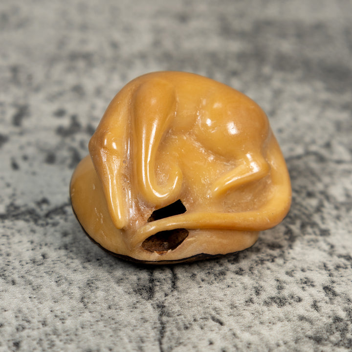 Vintage Natural White Dyed Anteater Tagua Carving