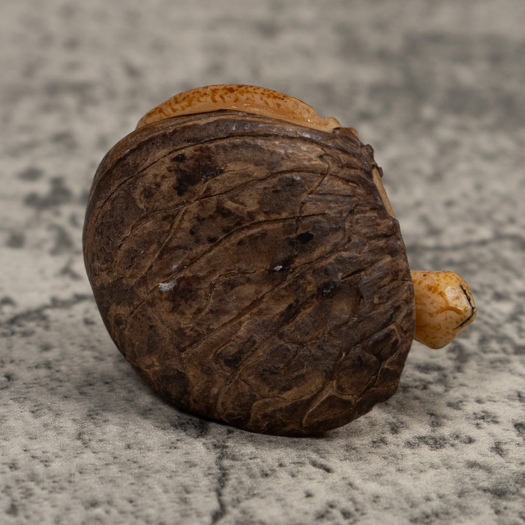 Vintage Gold And Brown Frog Tagua Carving