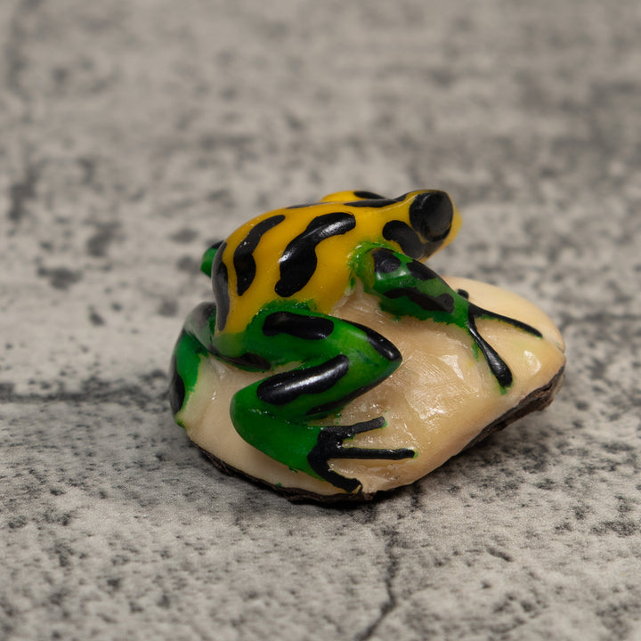Vintage Black Green And Yellow Frog Tagua Carving