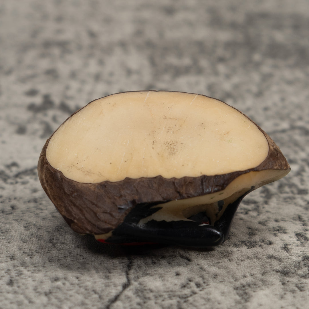 Vintage Black And Red Poison Dart Frog Tagua Carving