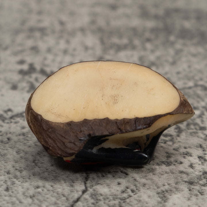 Vintage Black And Red Poison Dart Frog Tagua Carving