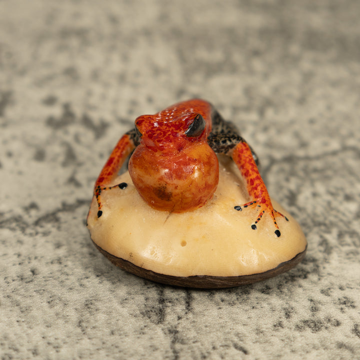 Black And Orange Blow Throat Frog Tagua Carving