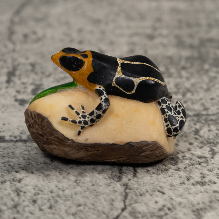 White Orange And Black Poison Dart Frog Tagua Carving