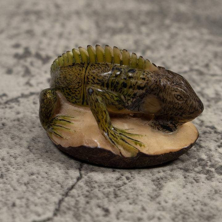 Iguana Lizard Reptile Tagua Carving