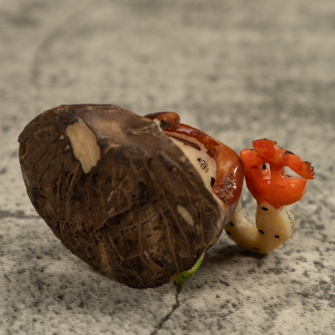 Snake Eating A Frog Tagua Carving