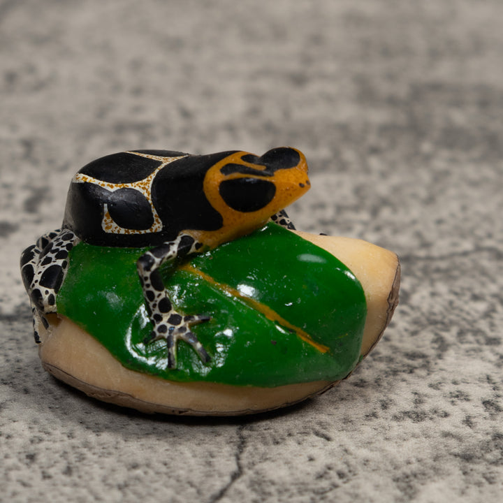 White Orange And Black Poison Dart Frog Tagua Carving