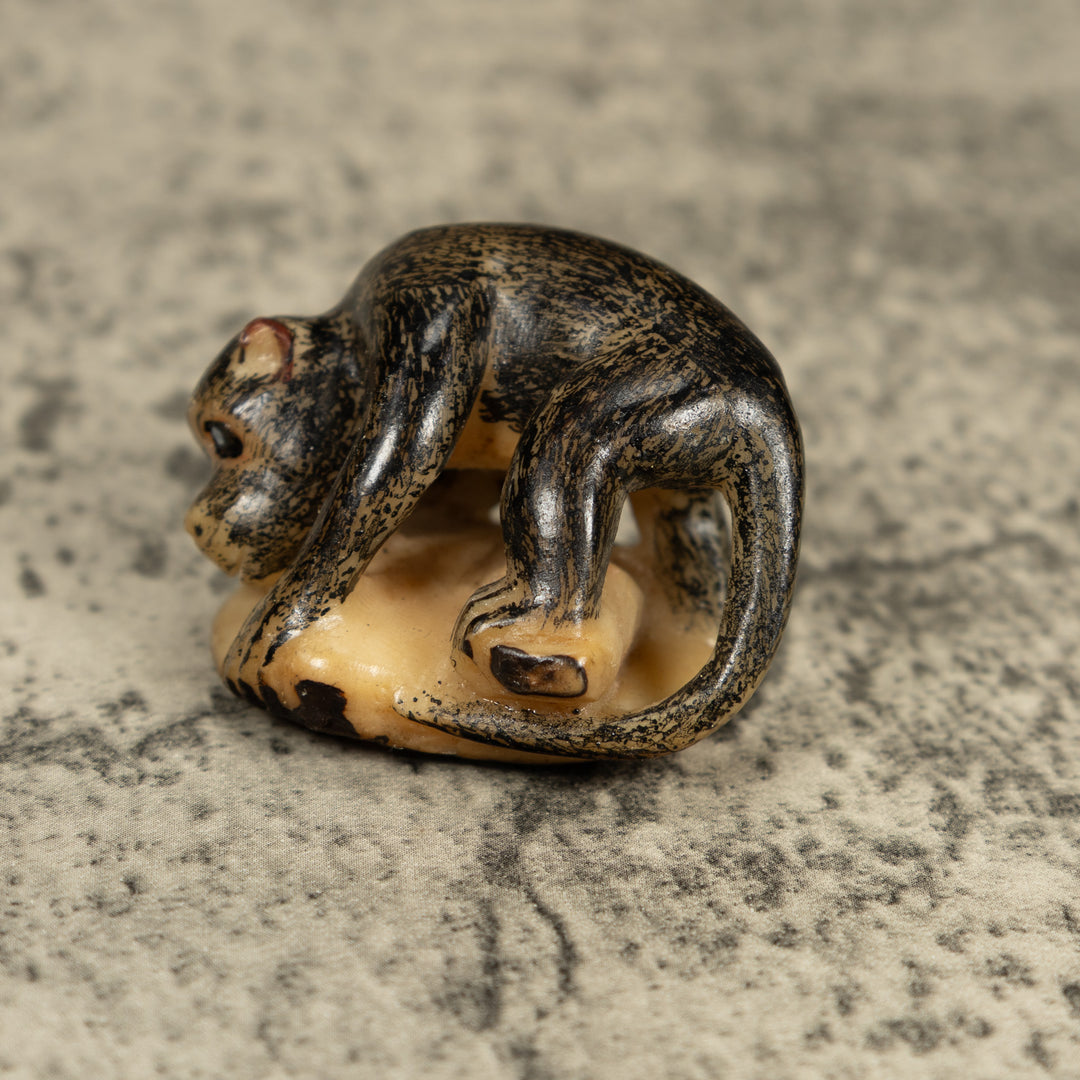 Vintage Howler Monkey Tagua Carving