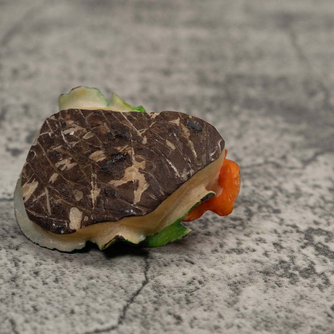 Blue Red And Green Hummingbird Tagua Carving