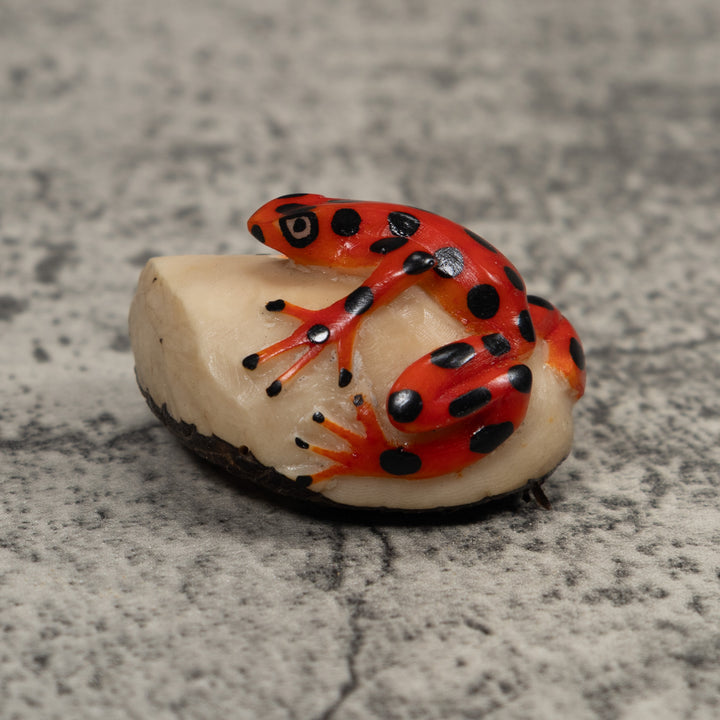 Vintage Frog Tagua Carving