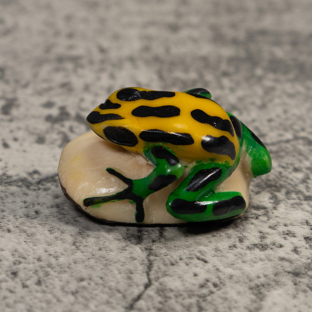 Vintage Black Green And Yellow Frog Tagua Carving