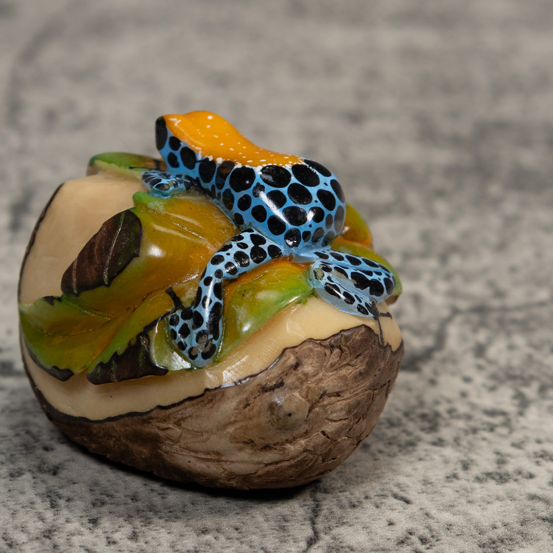 Gold Blue And Black Jungle Frog Tagua Carving