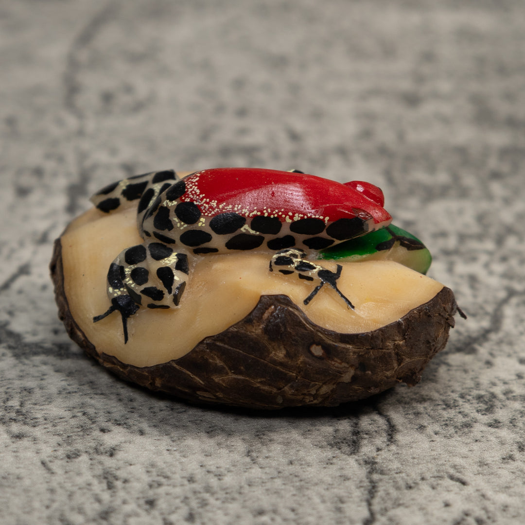 White Red And Black Poison Dart Frog Tagua Carving