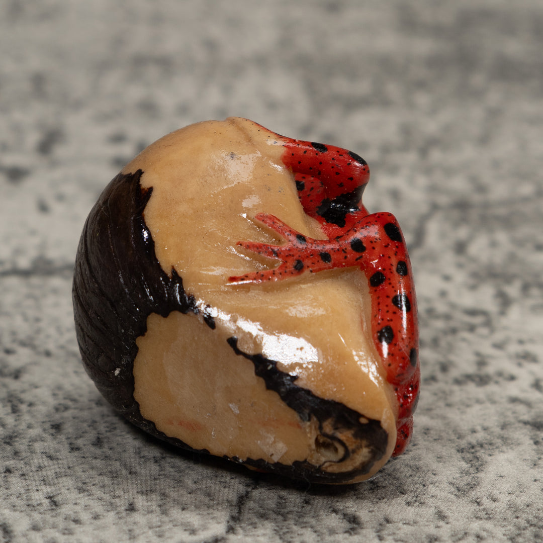 Vintage Poison Dart Frog Tagua Carving