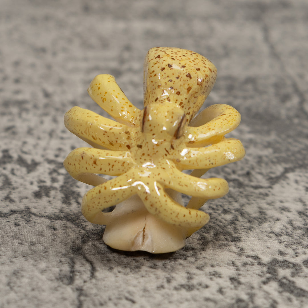 Octopus Squid Tagua Carving