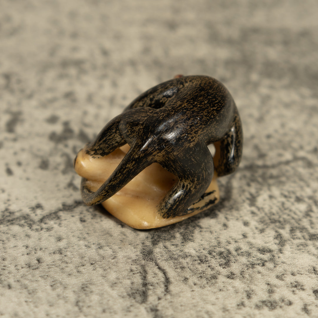 Vintage Howler Monkey Tagua Carving